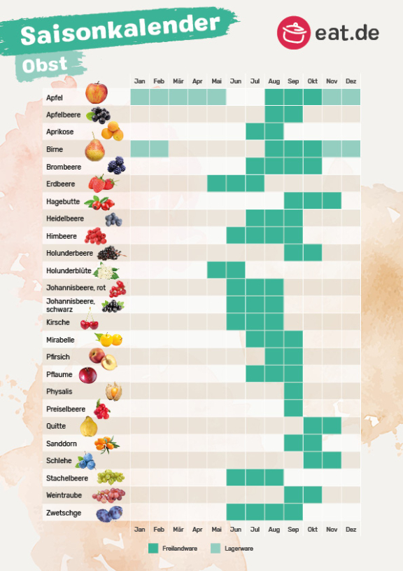 Saisonkalender Obst Gemüse das ganze Jahr regional