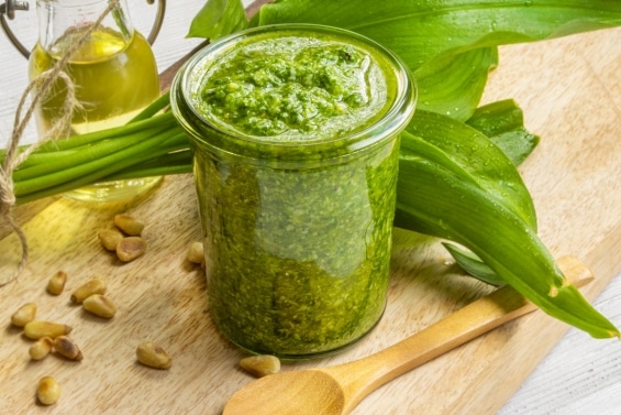 Haltbarkeit Bärlauchpesto im Glas