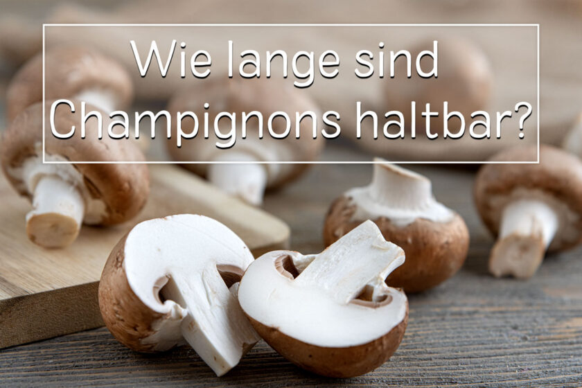 Champignons Haltbarkeit
