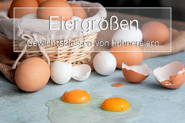 Eiergrößen von Hühnereiern