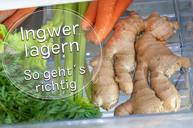 Ingwer lagern