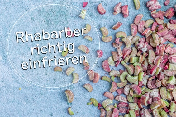 Rhabarber einfrieren