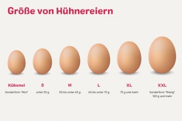 Eiergrößen & Gewichtsklassen mit Tabelle