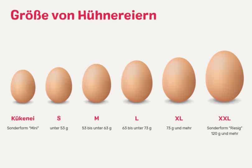 Eiergrößen & Gewichtsklassen mit Tabelle