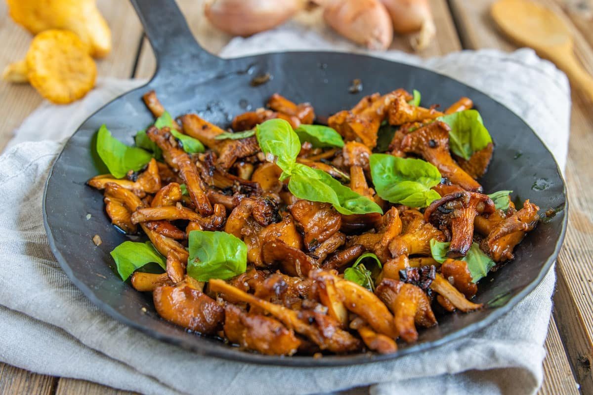 Gebratene Pfifferlinge Mit Basilikum Simples Rezept Eat de