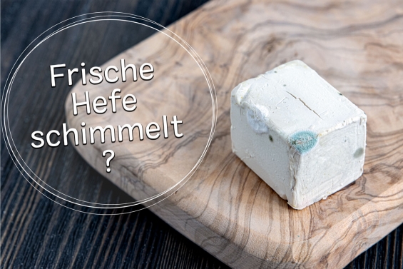 Frische Hefe schimmelt