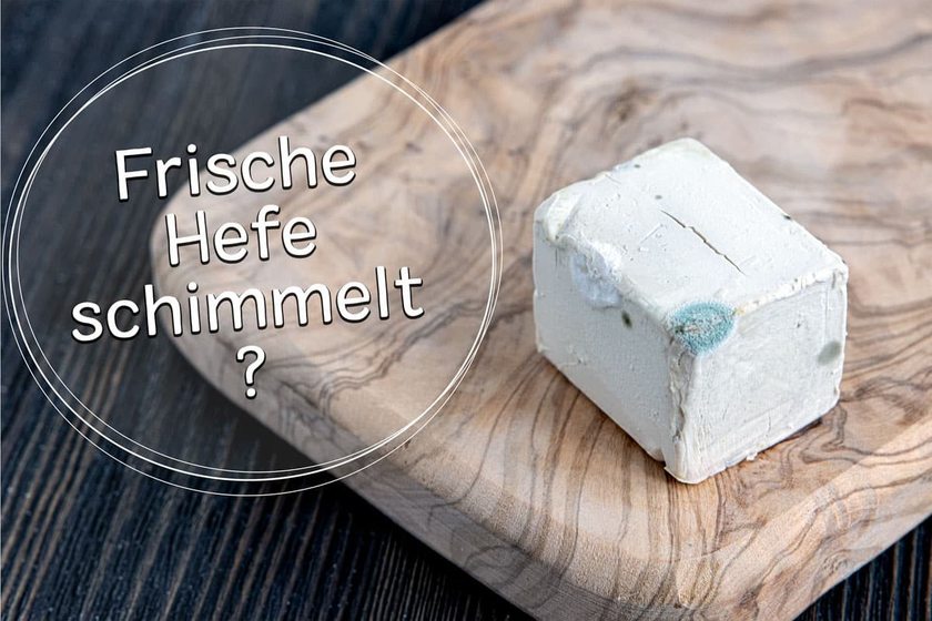Frische Hefe schimmelt
