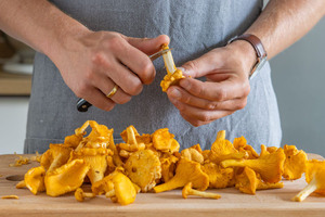 Pfifferlinge mit Messer putzen
