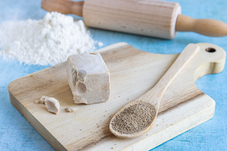 Trockenhefe und frische Hefe