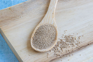 Trockenhefe