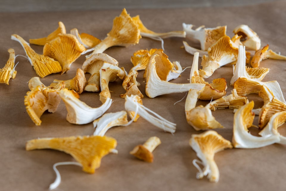 Pfifferlinge trocknen: So sicherst du das Aroma