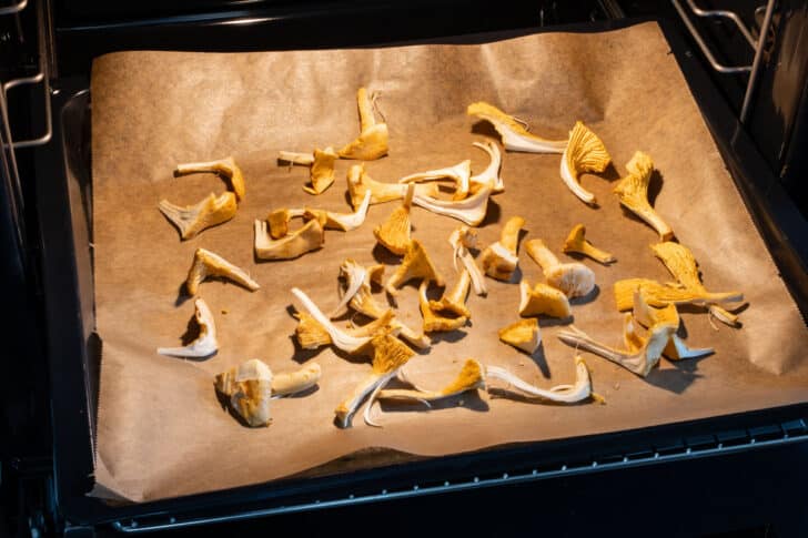 Pfifferlinge im Backofen trocknen