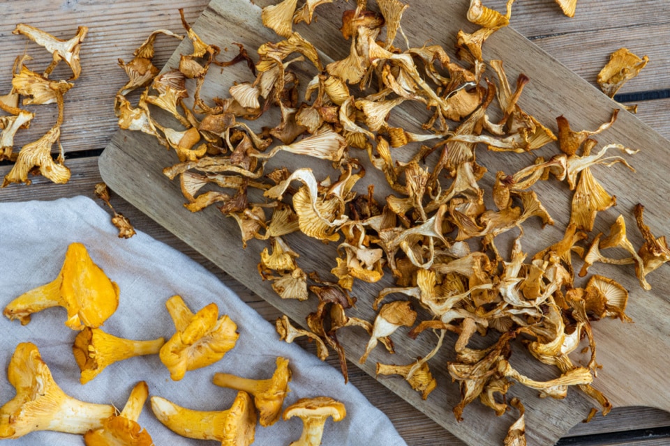 Pfifferlinge trocknen: So sicherst du das Aroma