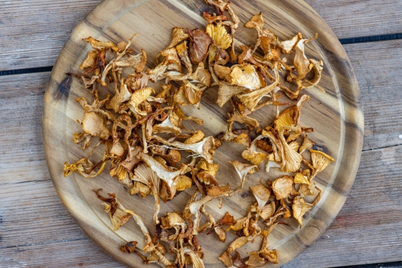 Pfifferlinge trocknen: So sicherst du das Aroma - eat.de