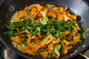 Pfifferlinge anbraten