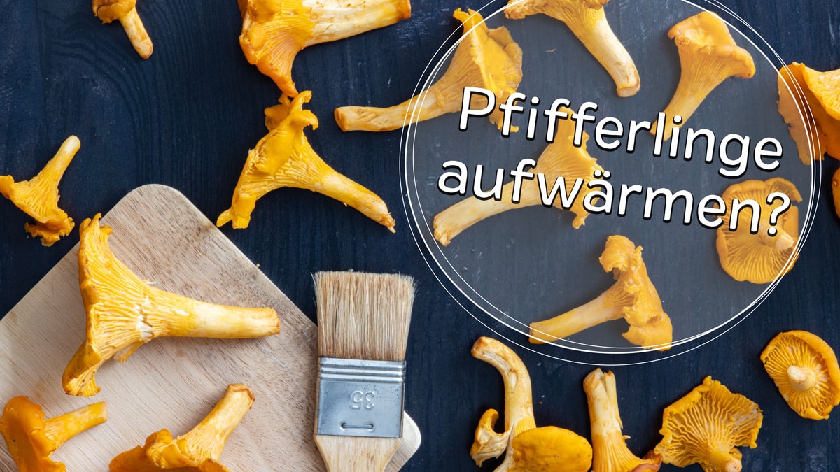 kiffer zubehör aufbewahrung Der Baukasten – Modulare Cannabis Aufbewahrung – Hybrid Filter main image 0