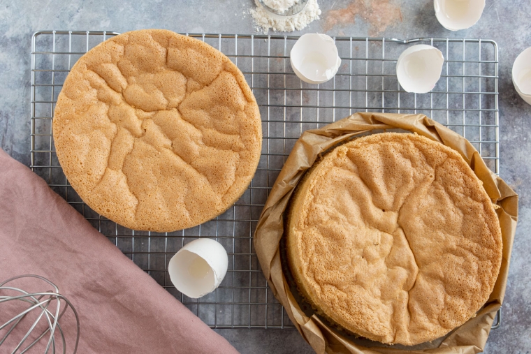 Biskuitboden: Grundrezept für Tortenboden - eat.de