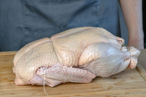 Ente zugeschnürt