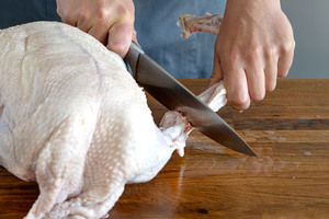 Gänseflügel abschneiden