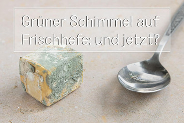 Grüner Schimmel auf frischer Hefe - Titel
