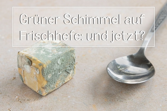 Grüner Schimmel auf frischer Hefe - Titel