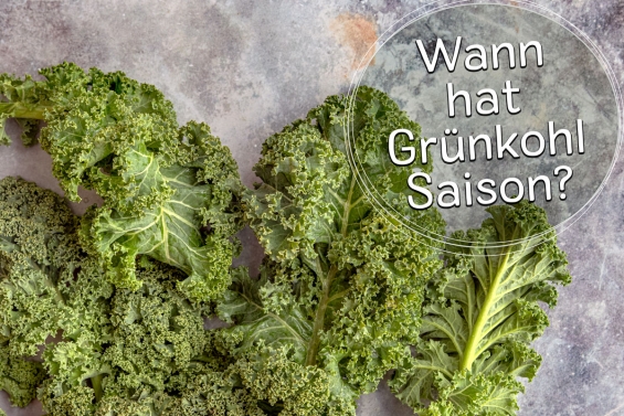 Grünkohl Saison