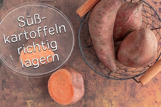 Süßkartoffeln lagern -Titel
