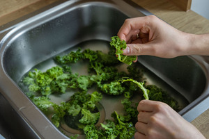 Grünkohl waschen