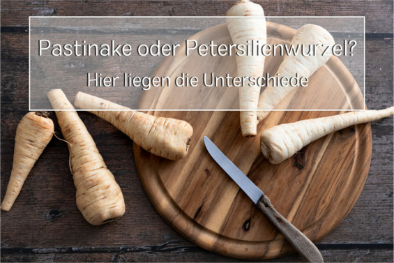 Pastinake oder Petersilienwurzel