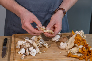 Pilze klein rupfen
