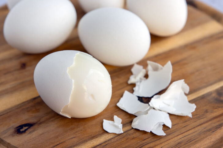 Eier