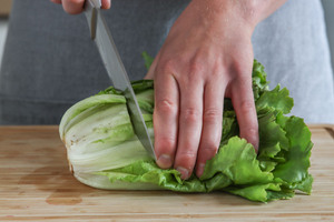 Endiviensalat schneiden
