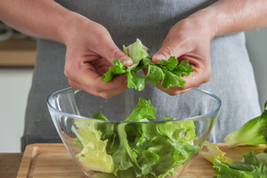 Endiviensalat klein rupfen