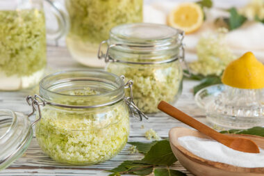Holunderblütensirup ohne Zucker