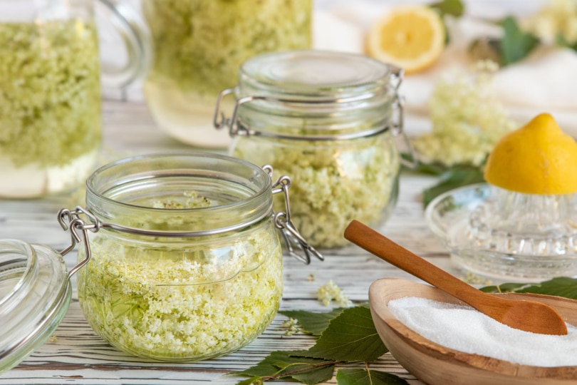 Holunderblütensirup ohne Zucker