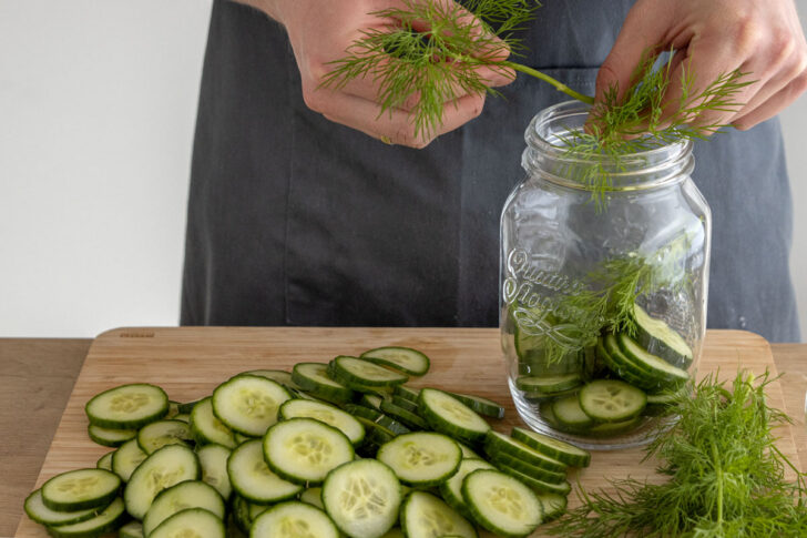 Dill und Gurke schichten