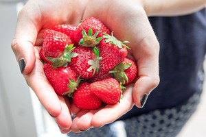 Erdbeeren in der Hand