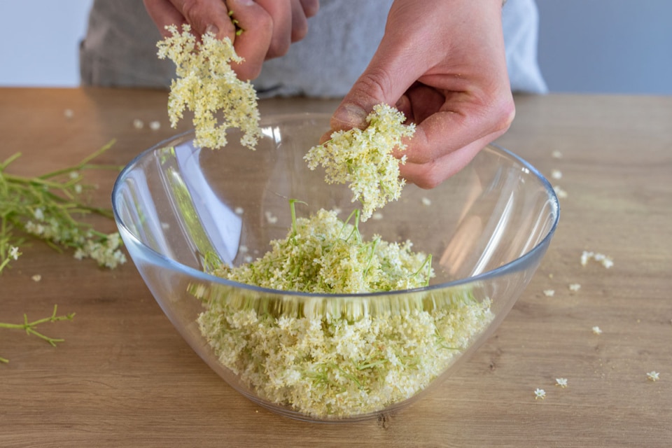 Holundersekt selber machen: Omas bestes Rezept