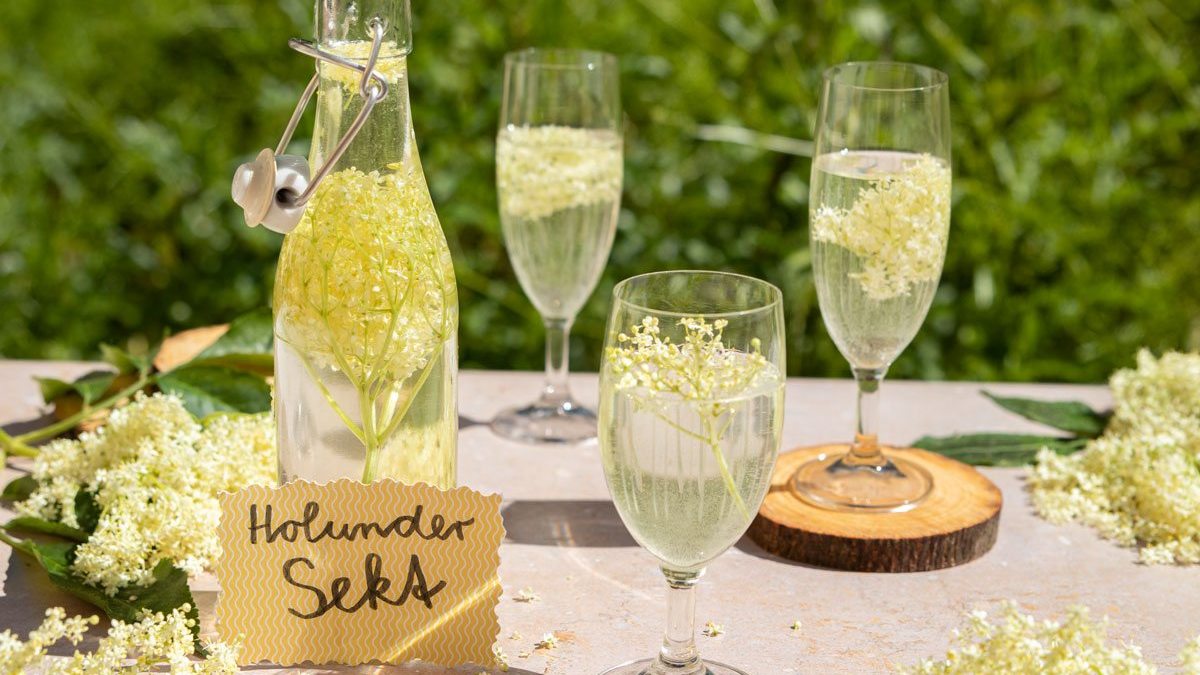 Holundersekt selber machen: Omas bestes Rezept
