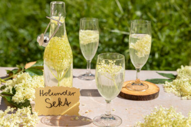 Holundersekt