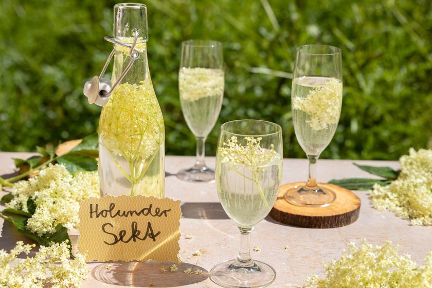 Holundersekt