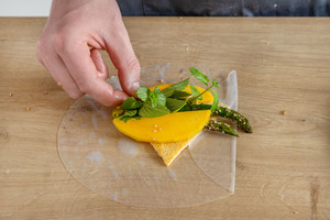 Sommerrolle befüllen