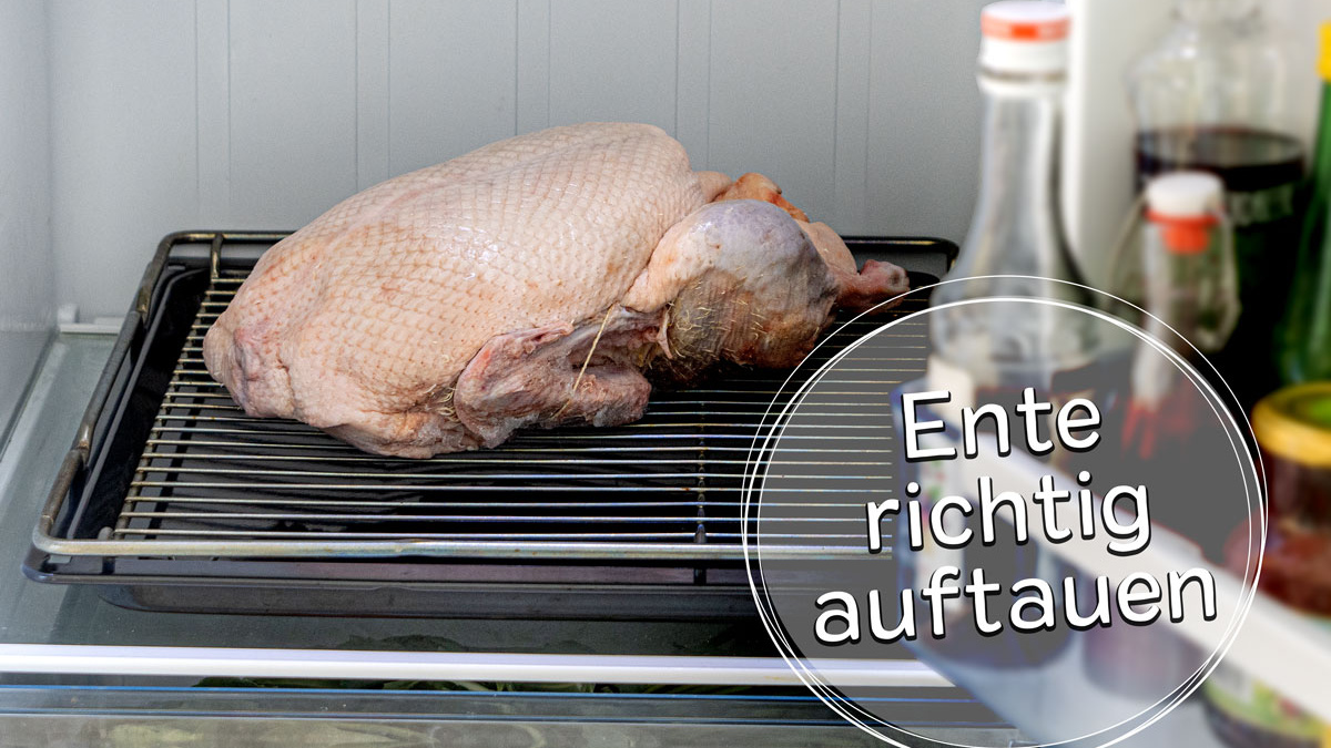 Ente auftauen