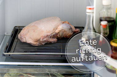 Ente auftauen