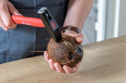 Kokosnuss mit Hammer öffnen