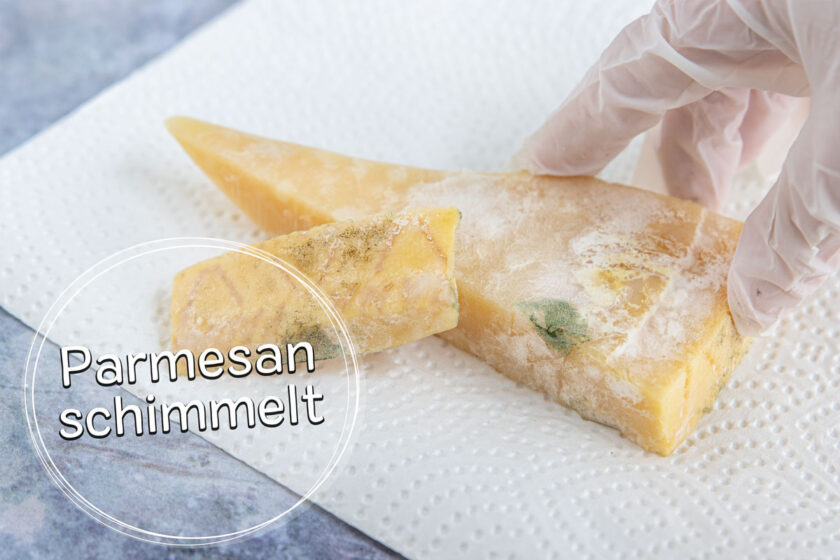 Parmesan schimmelt