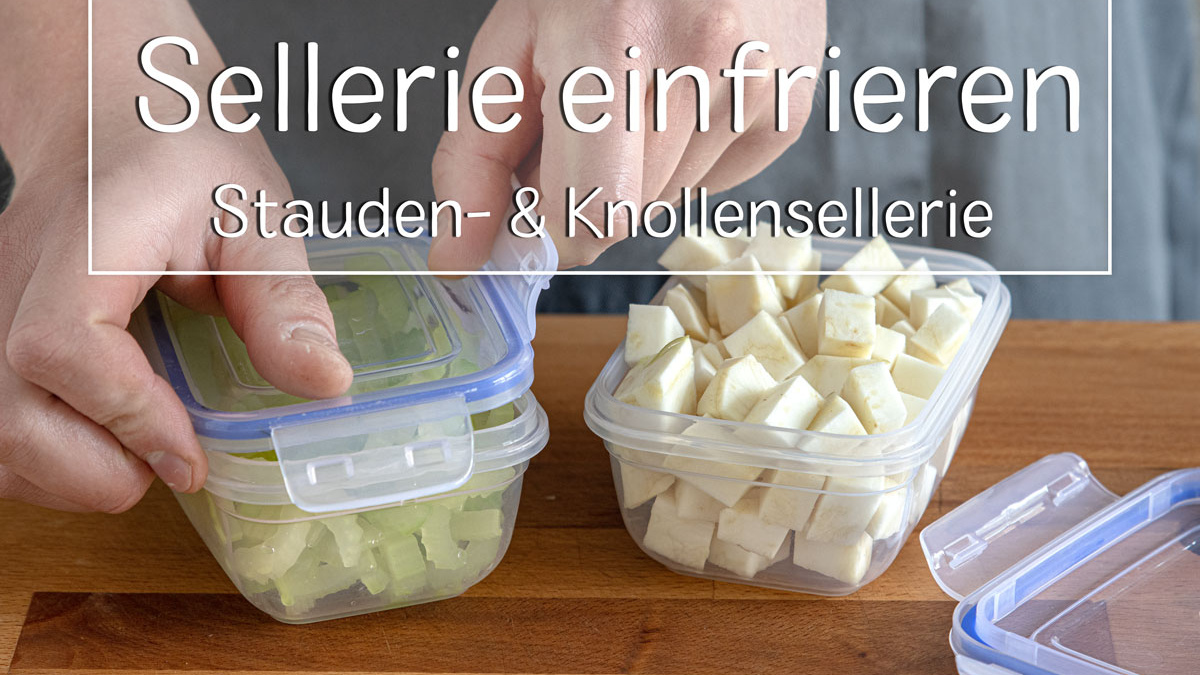 Kann man Staudensellerie und Knollensellerie einfrieren?