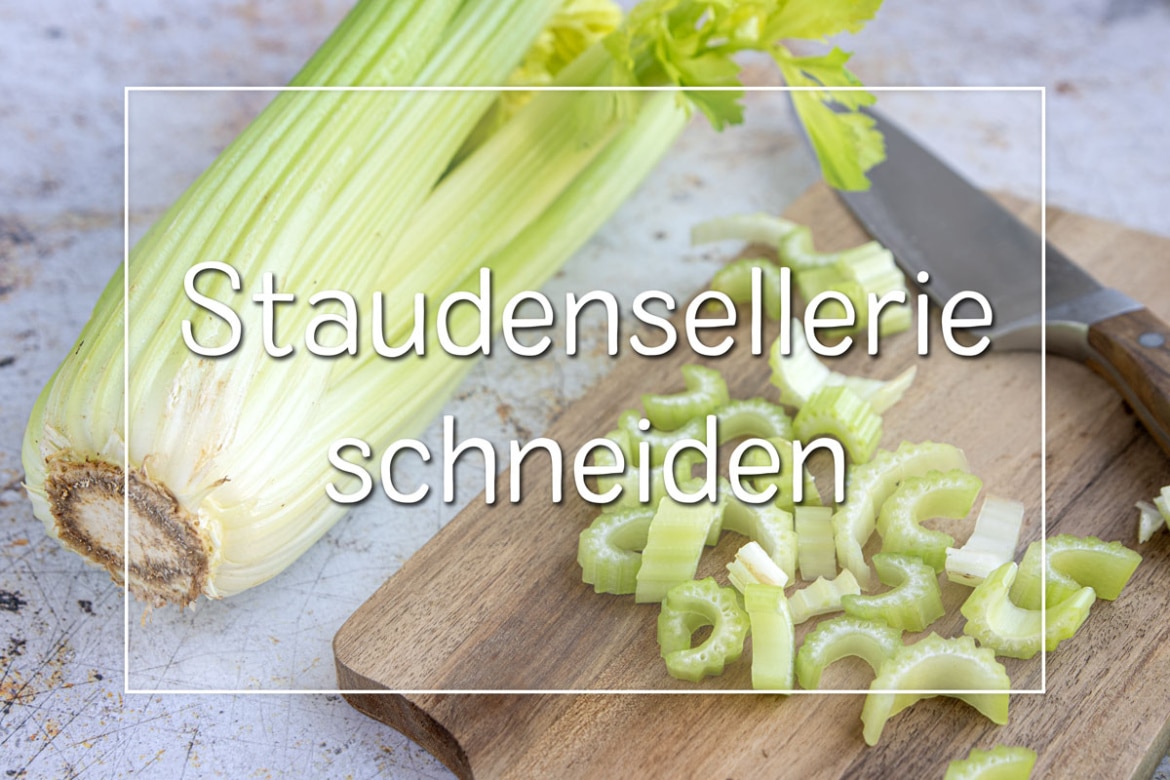 Wie Lange Ist Sekt Ungeöffnet Haltbar