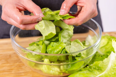 Kopfsalatblätter rupfen