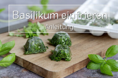 Basilikum einfrieren
